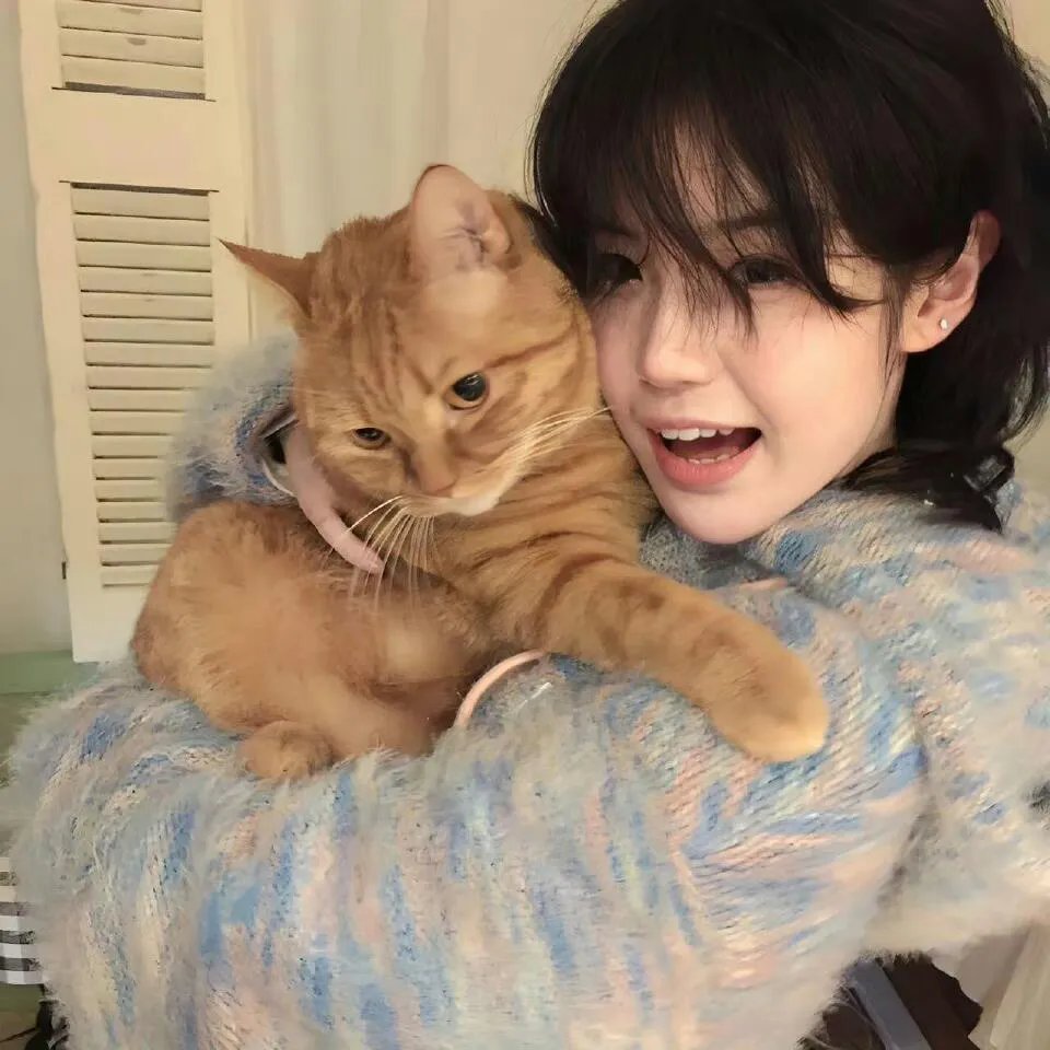 好莱坞芭比电影版